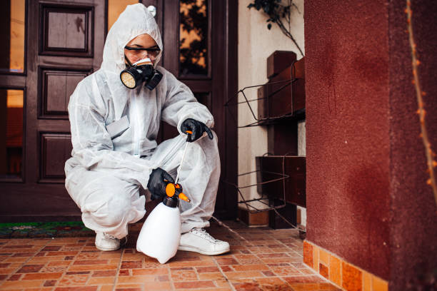 Reliable Bed Bug Control contractor in Rockwood, TN by Nex Pest Control