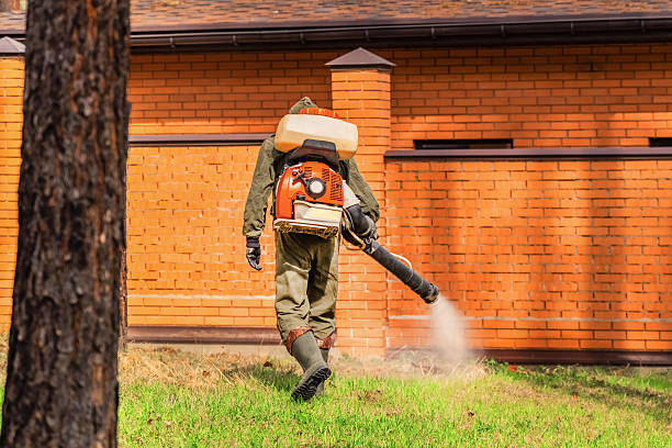 Trusted Termite Control service in Rockwood, TN - Nex Pest Control